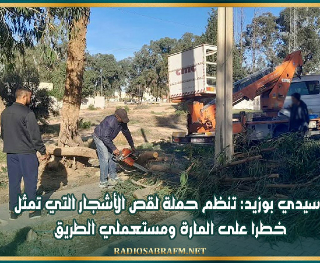 سيدي بوزيد: تنظم حملة لقص الأشجار التي تمثل خطرا على المارة ومستعملي الطريق