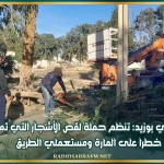 سيدي بوزيد: تنظم حملة لقص الأشجار التي تمثل خطرا على المارة ومستعملي الطريق