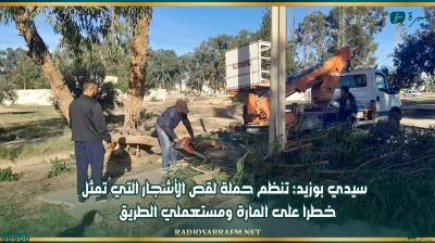 سيدي بوزيد: تنظم حملة لقص الأشجار التي تمثل خطرا على المارة ومستعملي الطريق