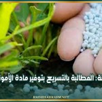 سليانة: المطالبة بالتسريع بتوفير مادة الأمونيتر