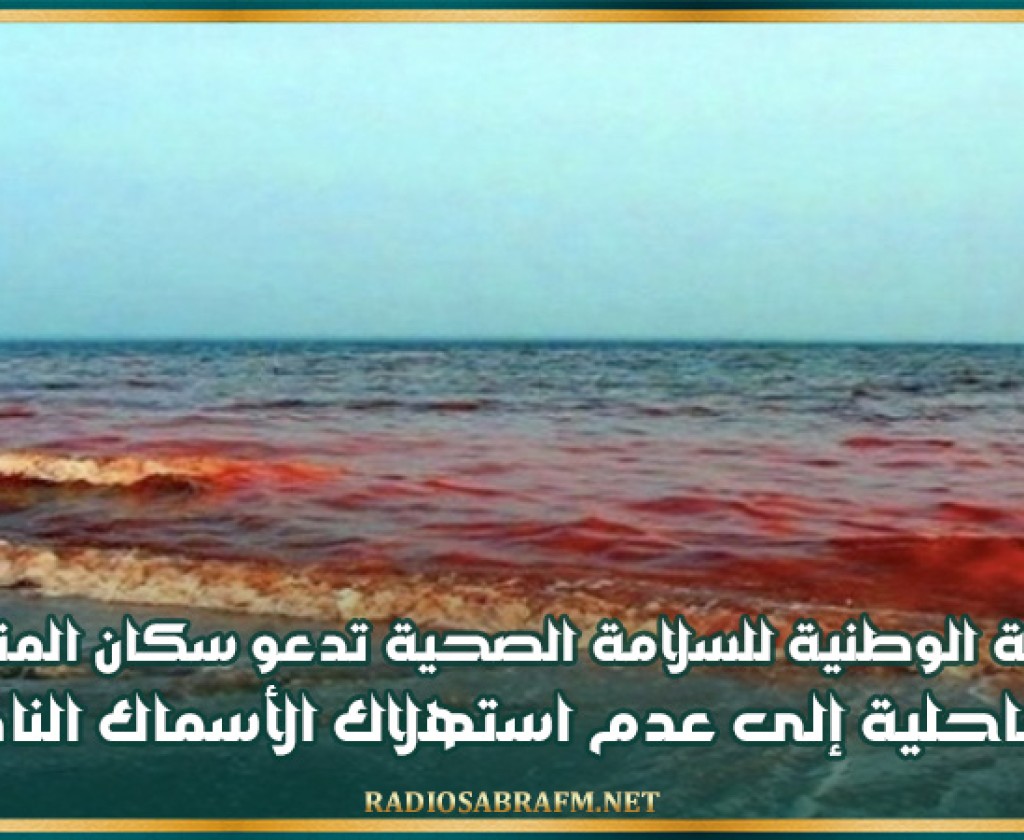 الهيئة الوطنية للسلامة الصحية تدعو سكان المناطق الساحلية إلى عدم استهلاك الأسماك النافقة لخطورتها على الصحة