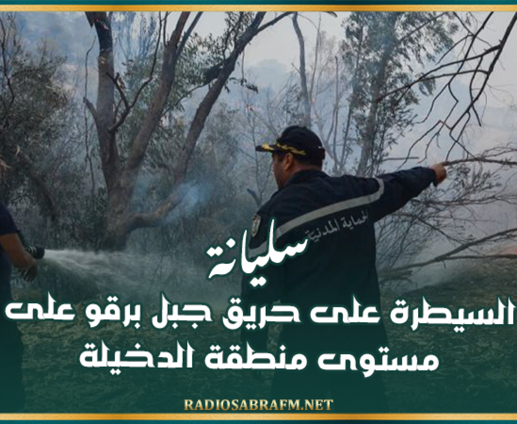 سليانة: السيطرة على حريق جبل برقو على مستوى منطقة الدخيلة