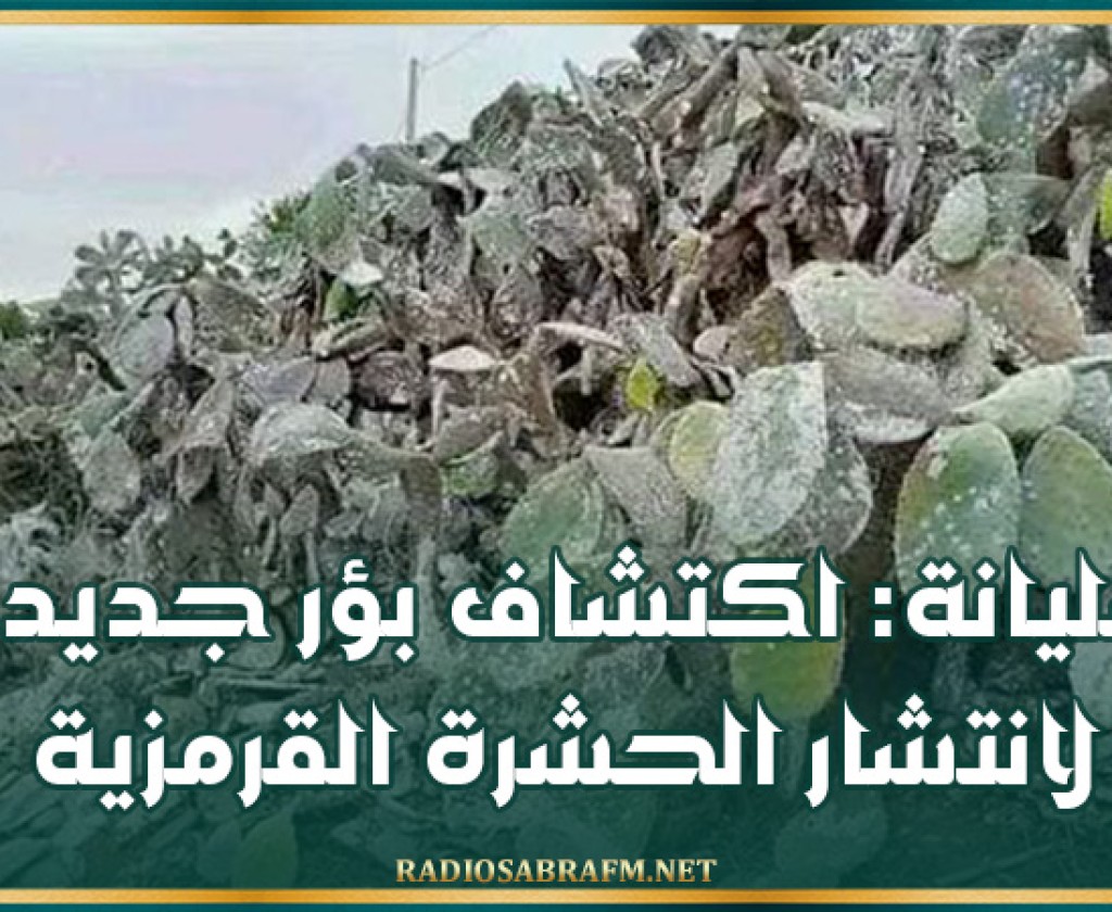سليانة: اكتشاف بؤر جديدة لانتشار الحشرة القرمزية