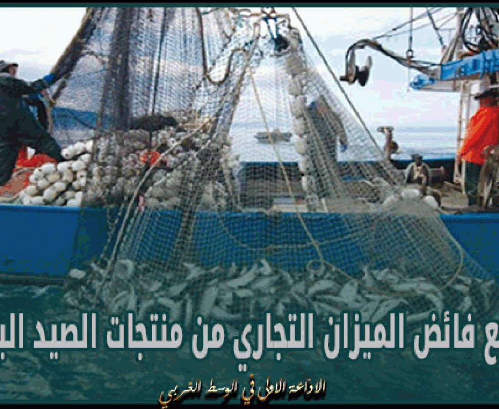 فائض الميزان التجاري من منتجات الصيد البحري يتراجع ب17،9 بالمائة في 2023
