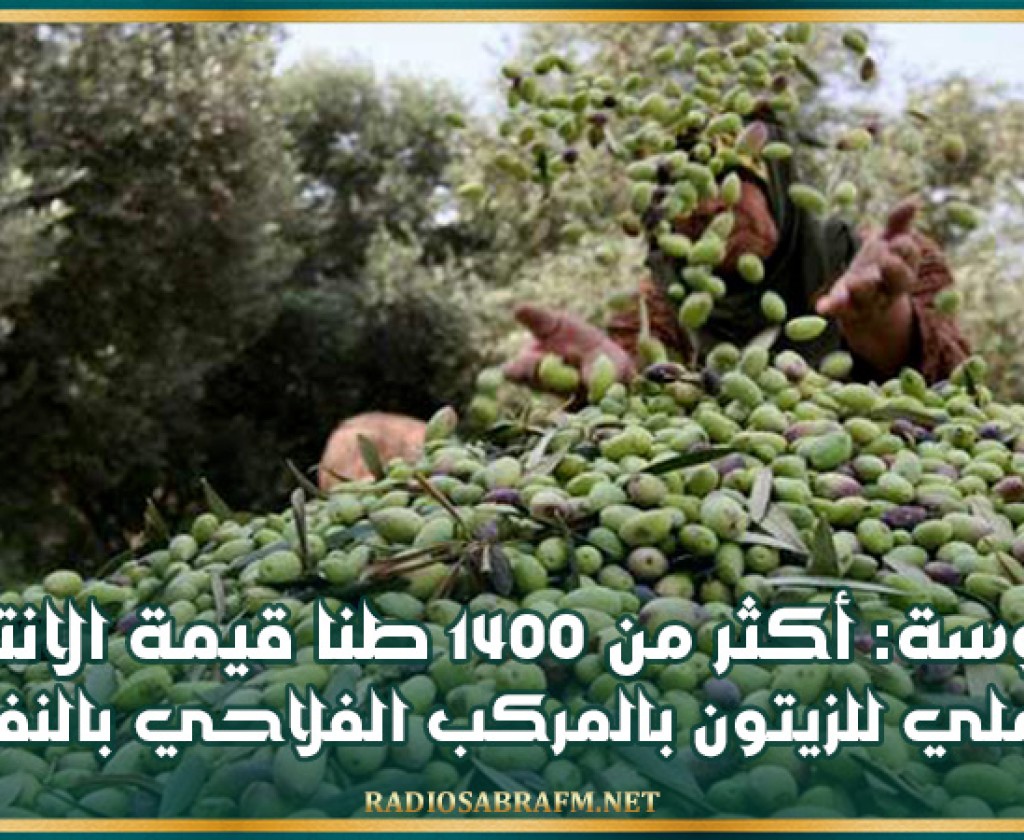 سوسة: أكثر من 1400 طنا قيمة الانتاج الجملي للزيتون بالمركب الفلاحي بالنفيضة