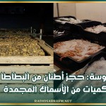 سوسة: حجز أطنان من البطاطا وكميات من الأسماك المجمدة