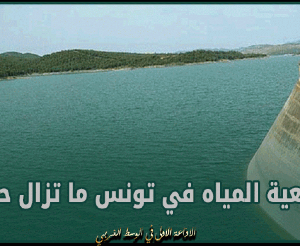 مدير عام الصوناد: وضعية المياه في تونس ما تزال حرجة