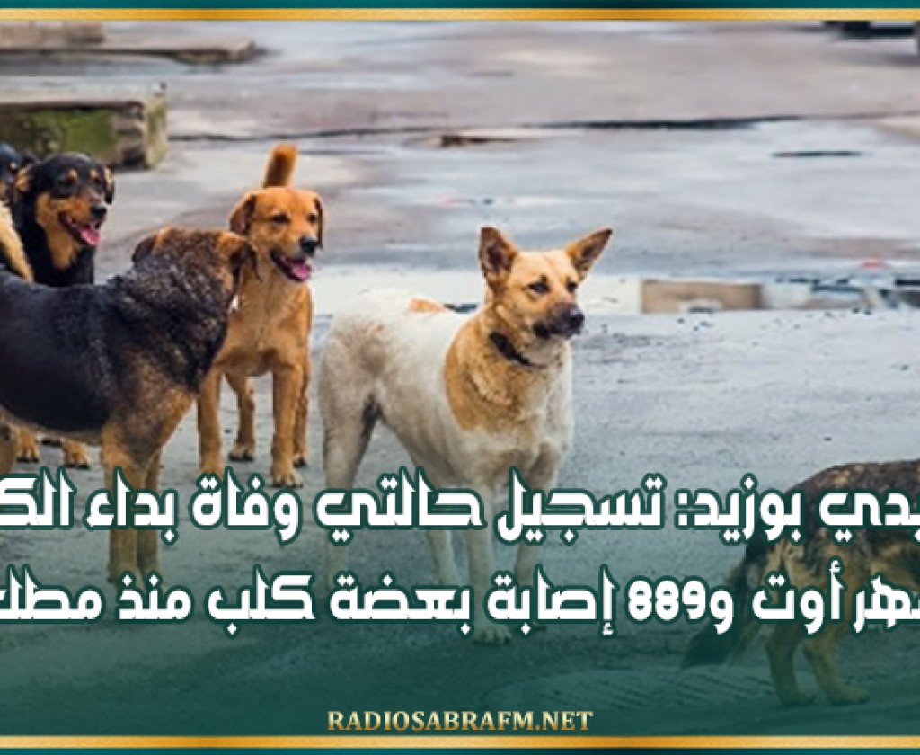 سيدي بوزيد: تسجيل حالتي وفاة بداء الكلب خلال شهر أوت و889 إصابة بعضة كلب منذ مطلع 2024