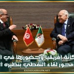 تعزيز مكانة إفريقيا وحضورها في المنتظم الأممي محور لقاء النفطي بنظيره الجزائري