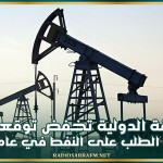 الطاقة الدولية تخفض توقعاتها لنمو الطلب على النفط في عام 2025