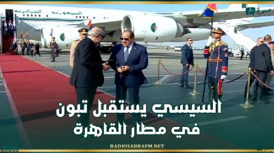 السيسي يستقبل تبون في مطار القاهرة