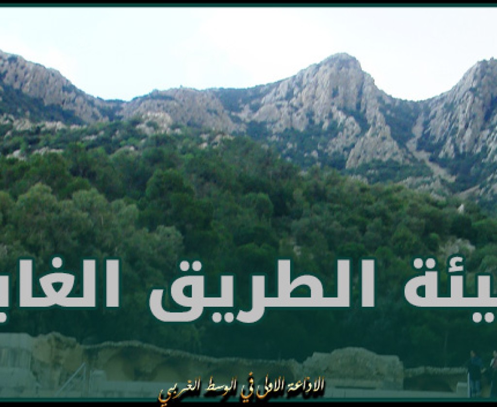 زغوان: البنك الإفريقي للتنمية يوافق مبدئيا على تهيئة الطريق الغابية بجبل زغوان ضمن مشروع النهوض بالمنظومات الفلاحية