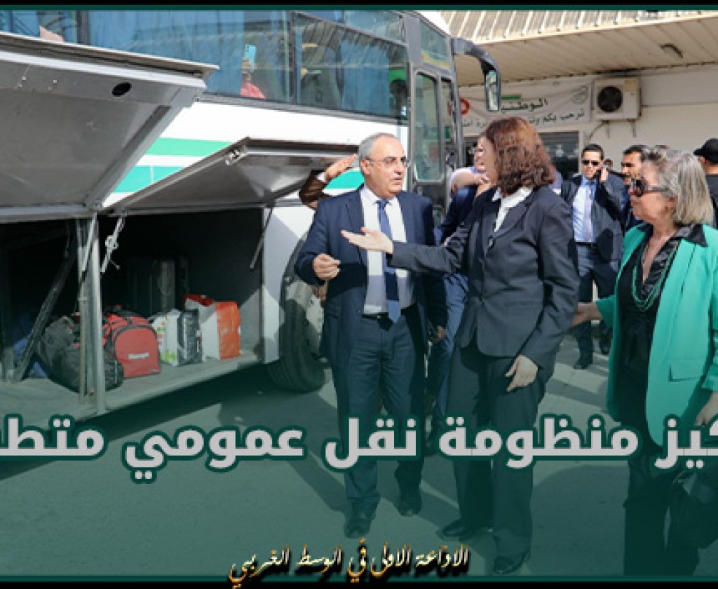 وزيرة النقل بالنيابة تدعو إلى ضرورة التسريع في تركيز منظومة نقل عمومي متطورة