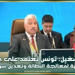 وزير التشغيل: تونس تعتمد على خيارات استراتيجية لمُعالجة البطالة وتعديل سوق العمل