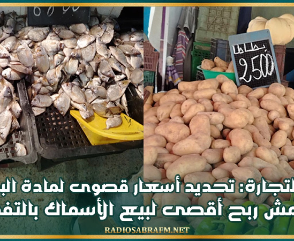 وزارة التجارة: تحديد أسعار قصوى لمادة البطاطا وهامش ربح أقصى لبيع الأسماك بالتفصيل