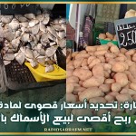 وزارة التجارة: تحديد أسعار قصوى لمادة البطاطا وهامش ربح أقصى لبيع الأسماك بالتفصيل