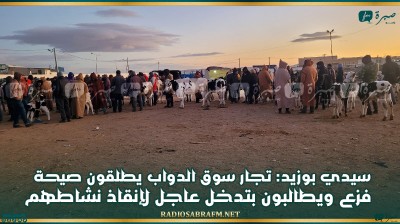 سيدي بوزيد: تجار سوق الدواب يطلقون صيحة فزع ويطالبون بتدخل عاجل لإنقاذ نشاطهم