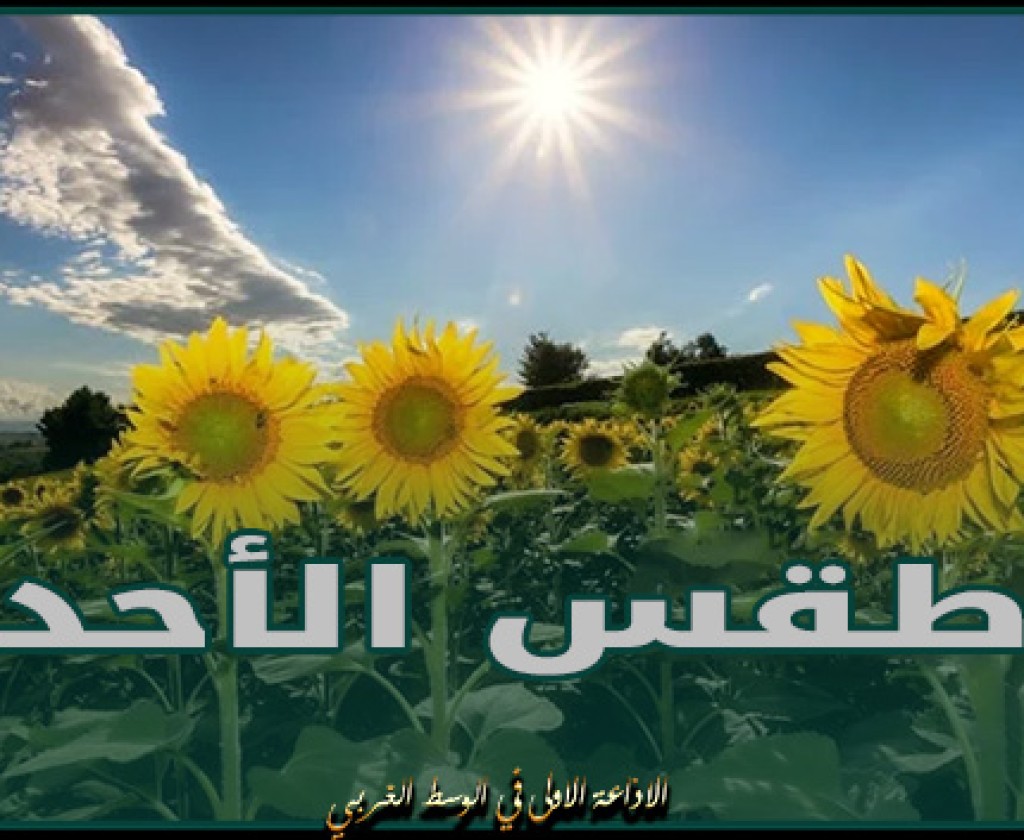 اليوم.. سحب عابرة والحرارة في ارتفاع نسبي