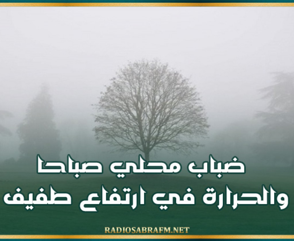 اليوم : ضباب محلي صباحا والحرارة في ارتفاع طفيف