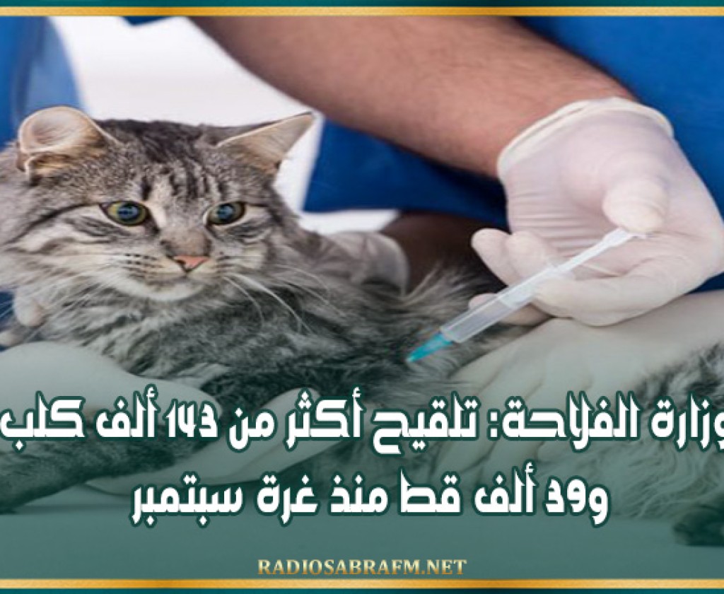 وزارة الفلاحة: تلقيح أكثر من 143 ألف كلب و39 ألف قط منذ غرة سبتمبر