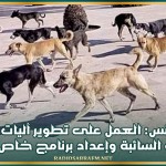 ولاية تونس: العمل على تطوير آليات مقاومة الكلاب السائبة وإعداد برنامج خاص بالقنص