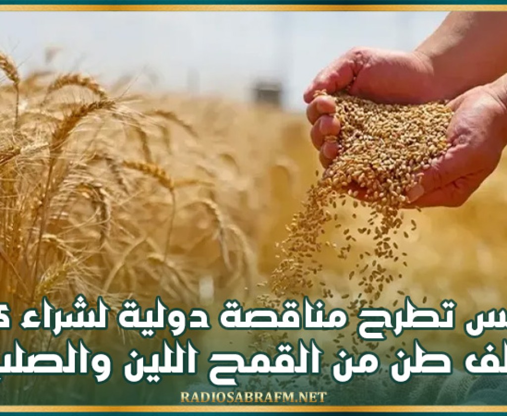 تونس تطرح مناقصة دولية لشراء 225 ألف طن من القمح اللين والصلب