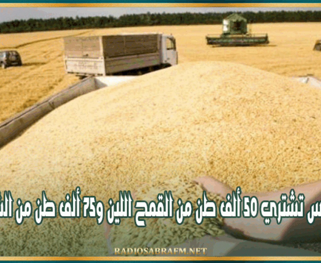 تونس تشتري 50 ألف طن من القمح اللين و75 ألف طن من الشعير