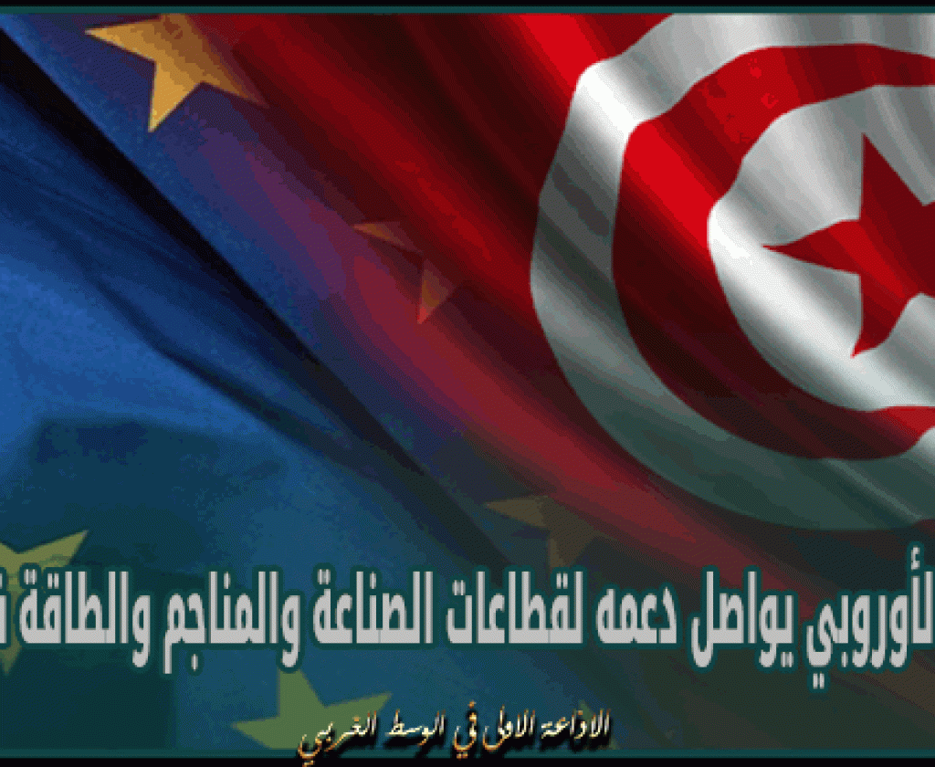 الاتحاد الأوروبي يواصل دعمه لقطاعات الصناعة والمناجم والطاقة في تونس