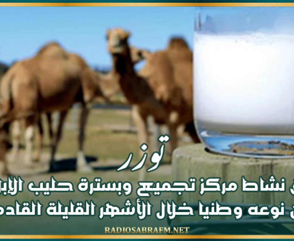 توزر: انطلاق نشاط مركز تجميع وبسترة حليب الإبل الأول من نوعه وطنيا خلال الأشهر القليلة القادمة