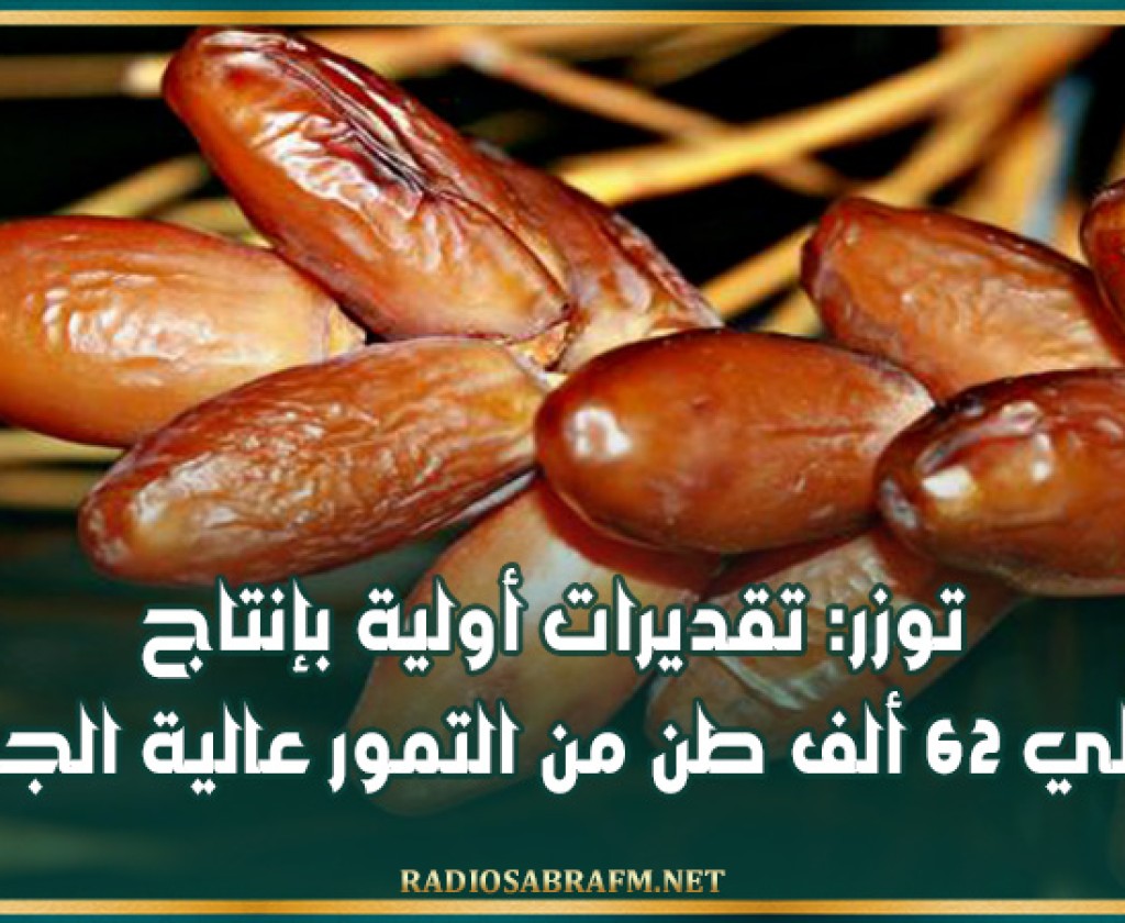 توزر: تقديرات أولية بإنتاج حوالي 62 ألف طن من التمور عالية الجودة