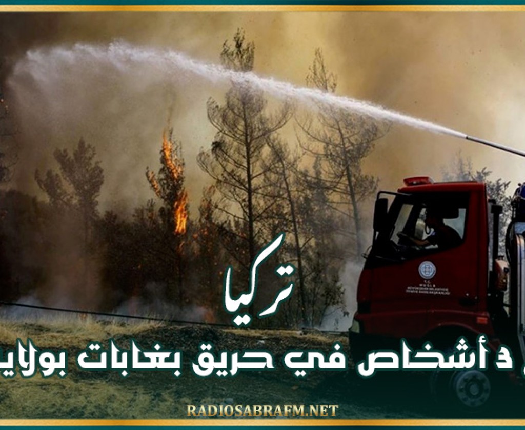 تركيا: مصرع 3 أشخاص في حريق بغابات بولاية إزمير