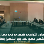 بحث التعاون التونسي المصري في مجال التكوين المهني والتشغيل محور لقاء وزير التشغيل بنظيره المصري
