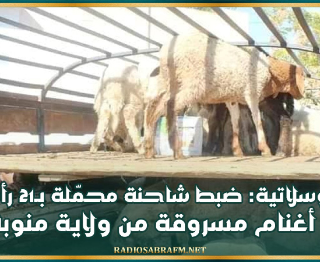 الوسلاتية: ضبط شاحنة محمّلة بـ21 رأس أغنام مسروقة من ولاية منوبة