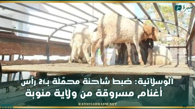 الوسلاتية: ضبط شاحنة محمّلة بـ21 رأس أغنام مسروقة من ولاية منوبة