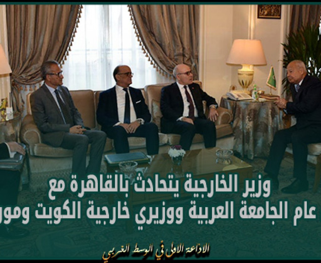 وزير الخارجية يتحادث بالقاهرة مع أمين عام الجامعة العربية ووزيري خارجية الكويت وموريتانيا