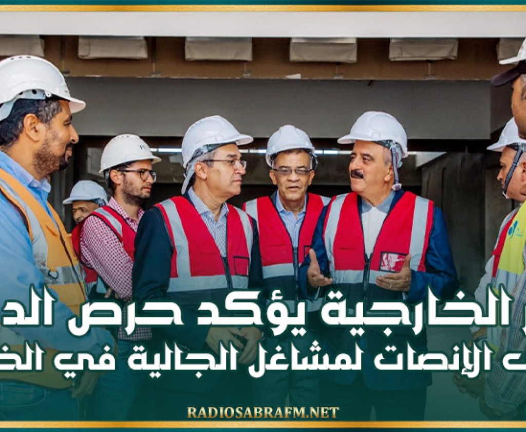 النفطى يؤكد حرص الدولة على الإنصات لمشاغل الجالية في الخارج والدفاع عن مصالحها