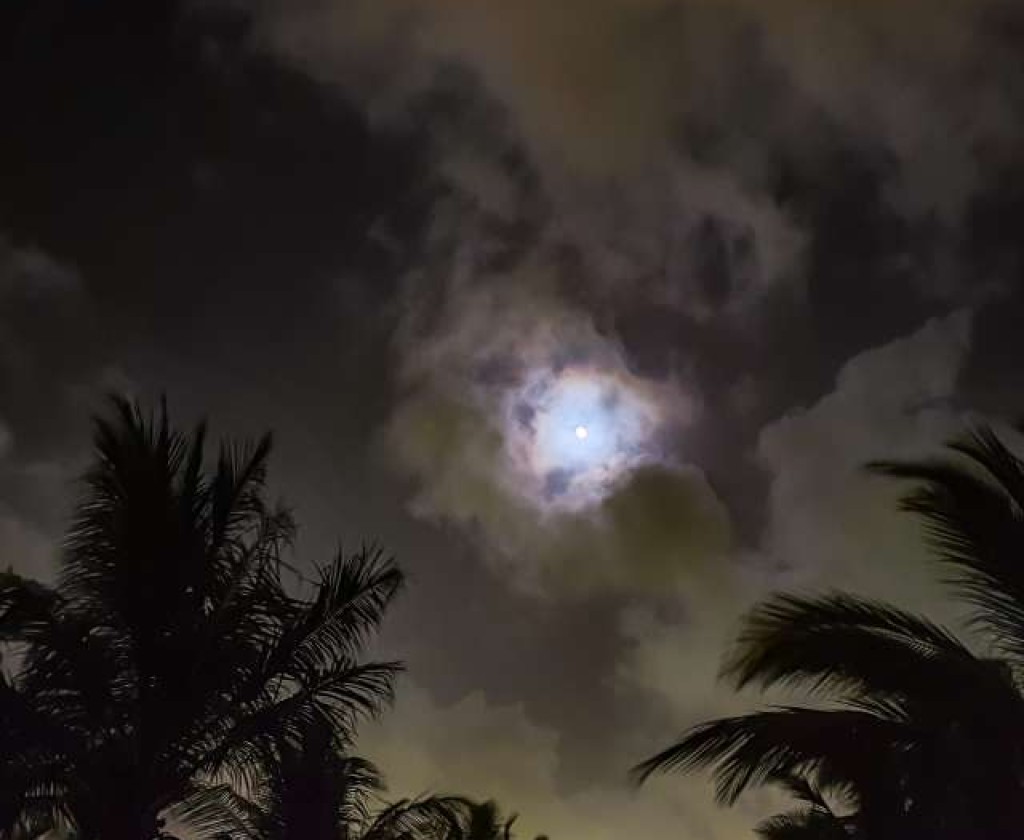 طقس الليلة: سحب عابرة باغلب المناطق مع ظهور ضباب محلي آخر الليل والحرارة بين 3 و 12 درجة