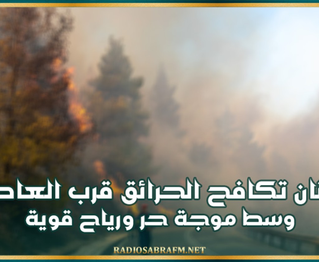 اليونان تكافح الحرائق قرب العاصمة وسط موجة حر ورياح قوية