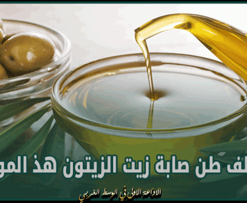 وزير الفلاحة: 220 ألف طن صابة زيت الزيتون هذ الموسم