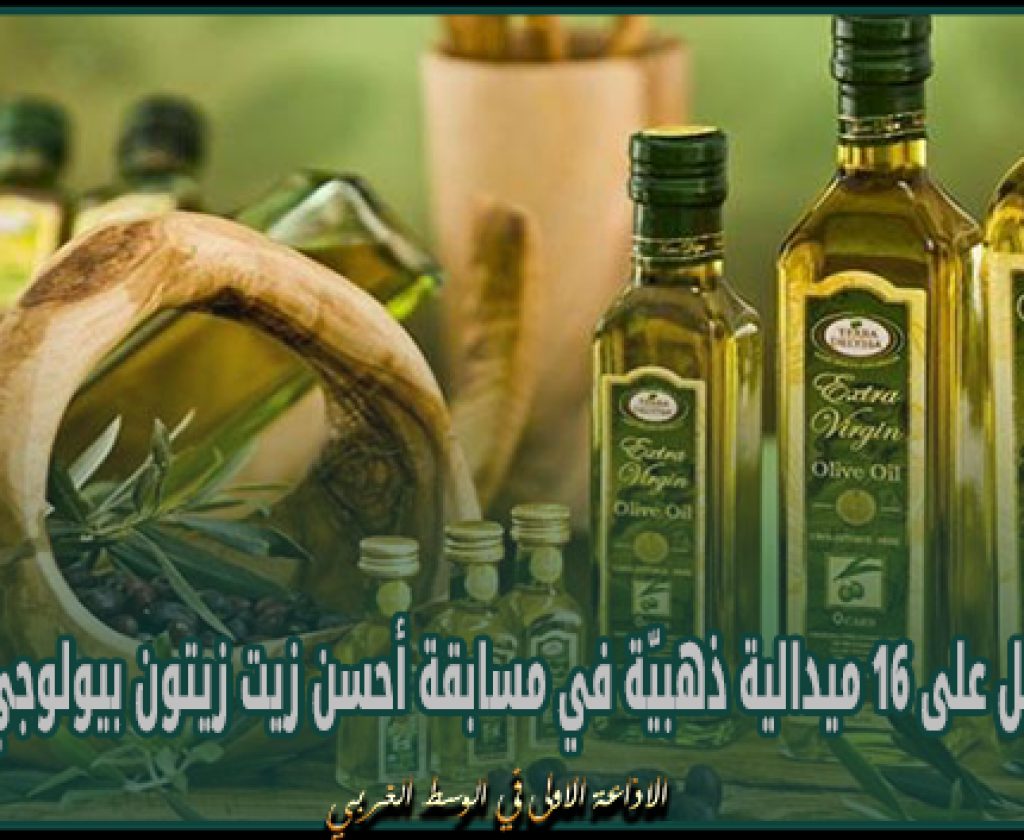 إيطاليا: تونس تتحصل على 16 ميدالية ذهبيّة في مسابقة أحسن زيت زيتون بيولوجي في العالم