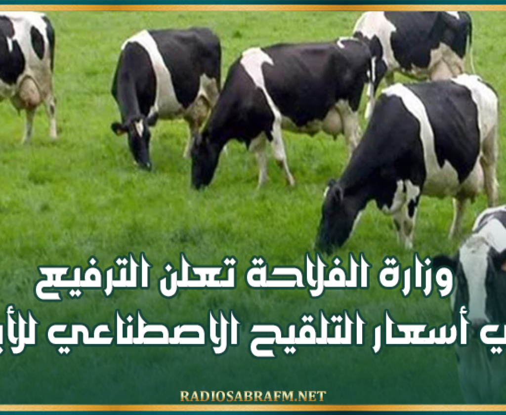 وزارة الفلاحة تعلن الترفيع في أسعار التلقيح الاصطناعي للأبقار