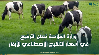 وزارة الفلاحة تعلن الترفيع في أسعار التلقيح الاصطناعي للأبقار