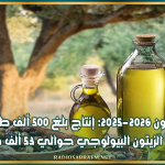 موسم الزيتون 2025-2026: إنتاج بلغ 500 ألف طن وصادرات زيت الزيتون البيولوجي حوالي 53 ألف طن