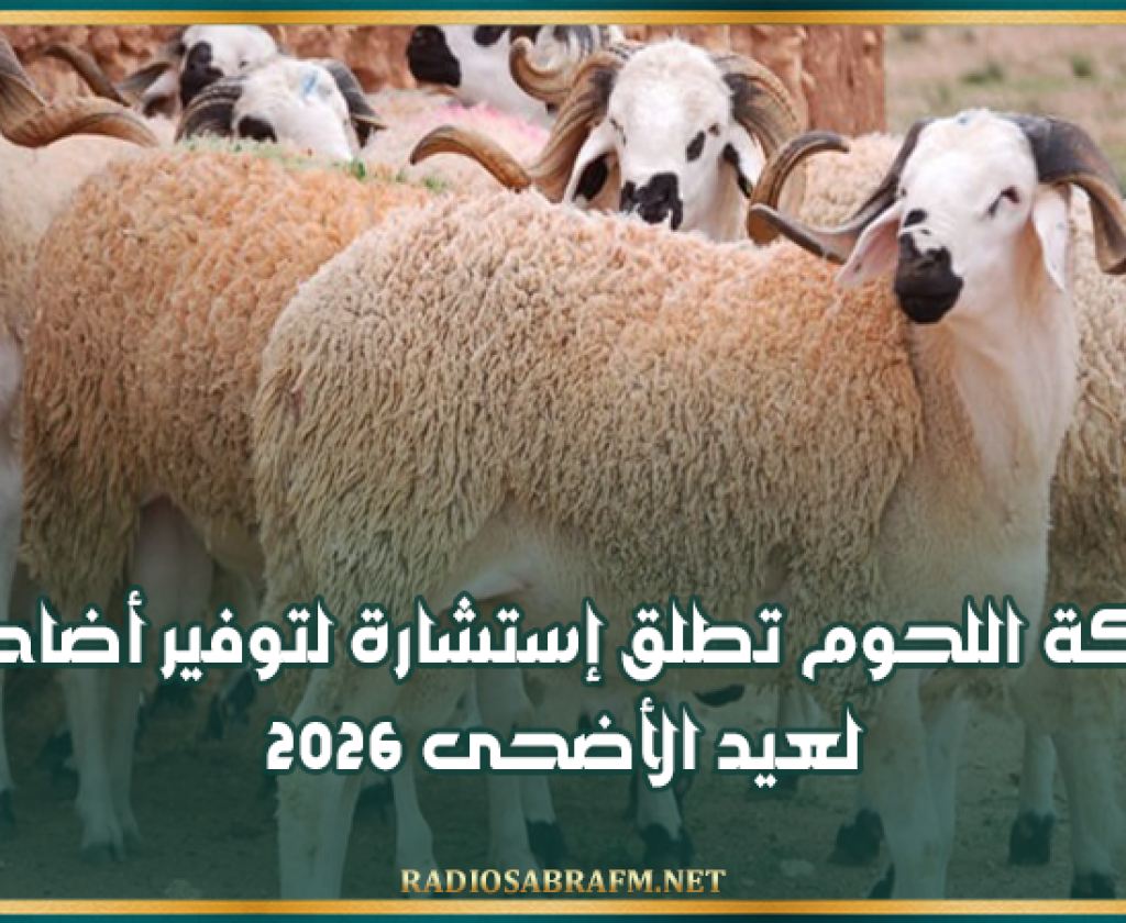 شركة اللحوم تطلق إستشارة لتوفير أضاحي لعيد الأضحى 2026
