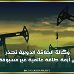 وكالة الطاقة الدولية تحذر من أزمة طاقة عالمية غير مسبوقة