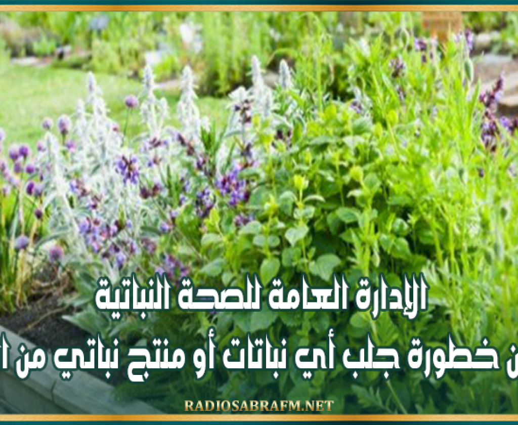 الإدارة العامة للصحة النباتية تُحذر من خطورة جلب أي نباتات أو منتج نباتي من الخارج