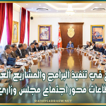 التسريع في تنفيذ البرامج والمشاريع العمومية بكلّ القطاعات محور اجتماع مجلس وزاري مضيّق