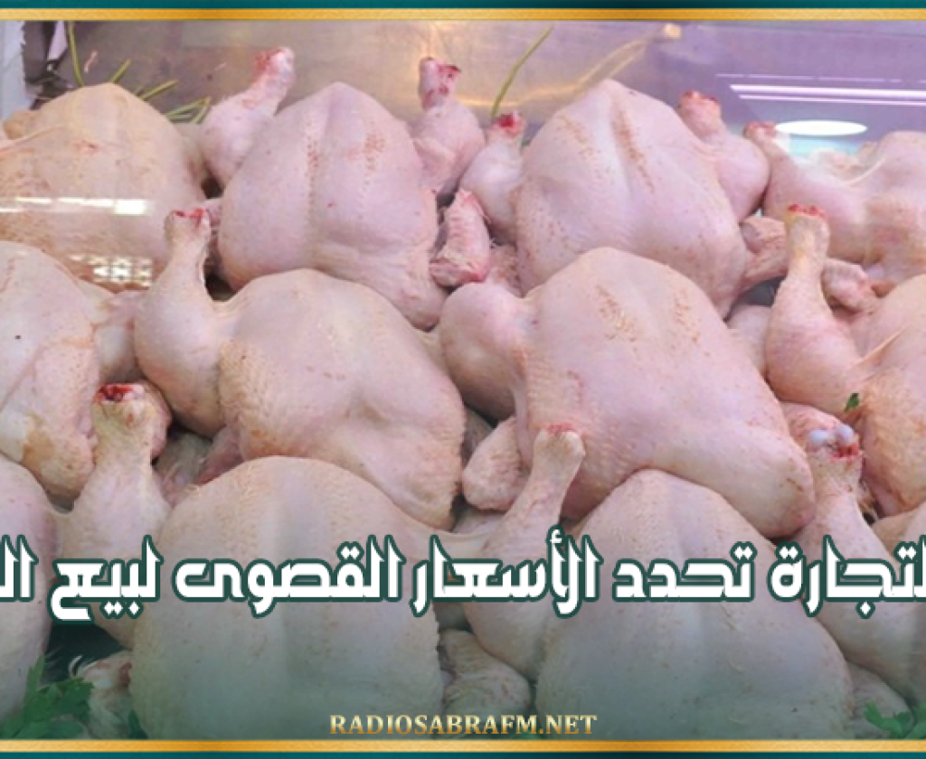 بداية من الغد.. وزارة التجارة تحدد الأسعار القصوى لبيع الدواجن