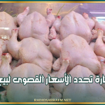 بداية من الغد.. وزارة التجارة تحدد الأسعار القصوى لبيع الدواجن