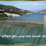 نسبة امتلاء السدود في تونس تبلغ حوالي 67%